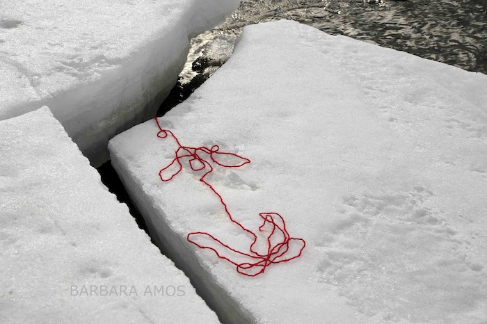 08 Red Alert Ice Flower, The Petroglyph Series