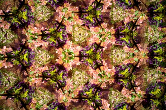 09 New Patterns realidoscope photographs